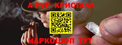 стаф Брянск