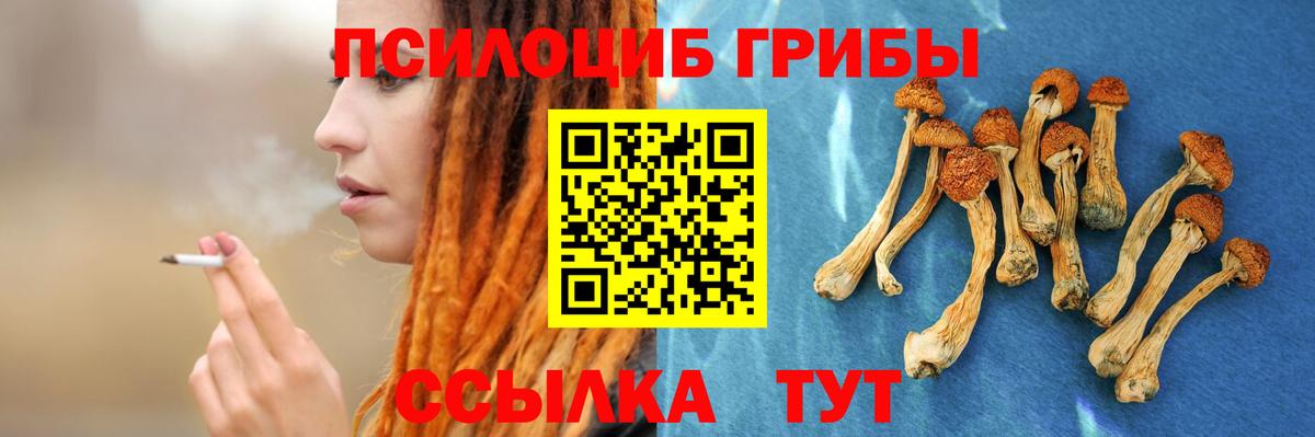Котлас  Галлюциногенные грибы прущие грибы  Вход с VPN  Галлюциногенные грибы Magic Shrooms 